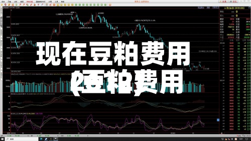 现在豆粕费用
(豆粕费用
2612)-第2张图片