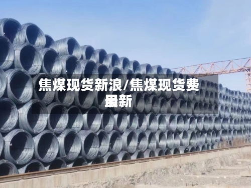 焦煤现货新浪/焦煤现货费用
最新-第3张图片