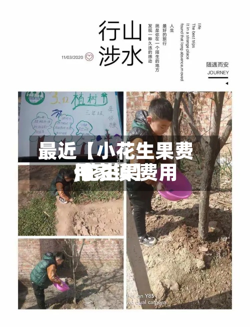 最近【小花生果费用
,花生果费用
付家镇】-第2张图片