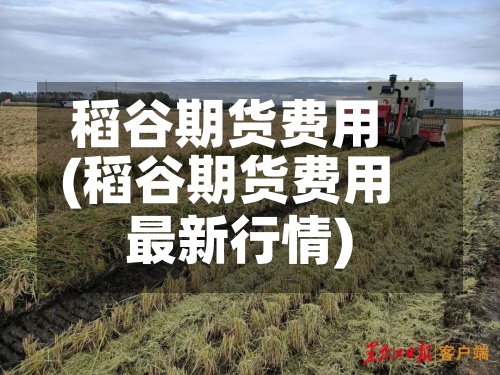 稻谷期货费用
(稻谷期货费用
最新行情)-第2张图片