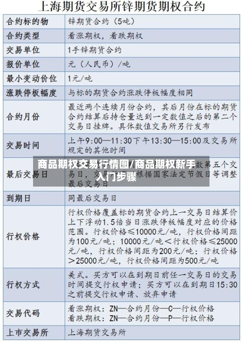 商品期权交易行情图/商品期权新手入门步骤