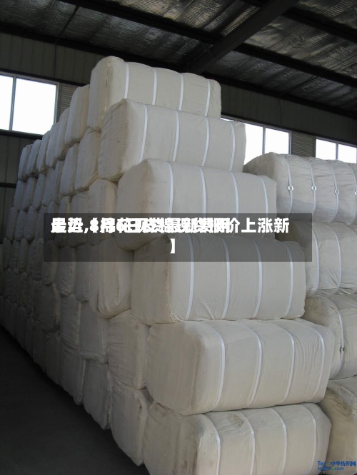 最近【棉花现货最新费用走势,8月6日皮棉现货报价上涨新】