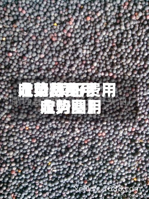 【菜籽费用收购费用走势,菜籽费用收购费用走势图】