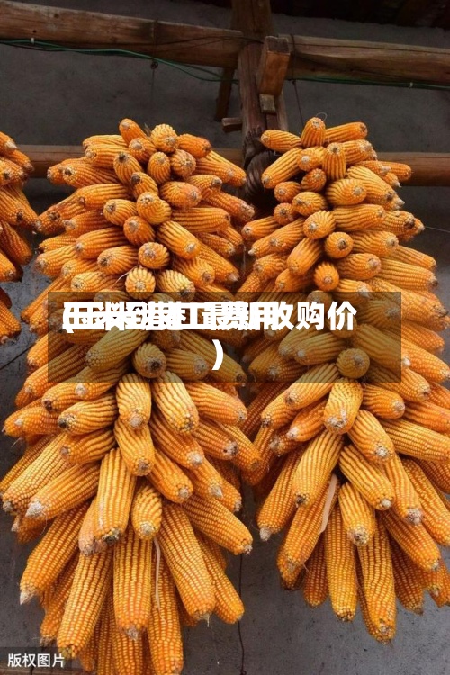 玉米到港口费用(玉米港口最新收购价)-第3张图片
