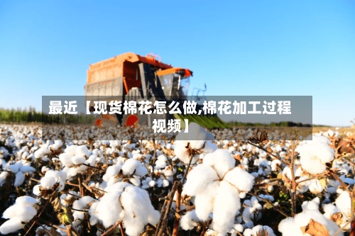 最近【现货棉花怎么做,棉花加工过程视频】-第3张图片