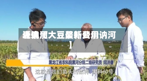 近来【讷河大豆最新费用表优质大豆奖补公示讷河】