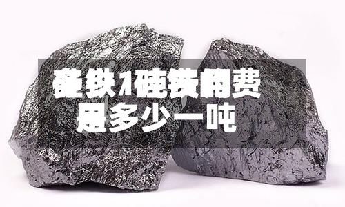 硅铁1吨费用
多少/硅铁的费用
是多少一吨-第2张图片
