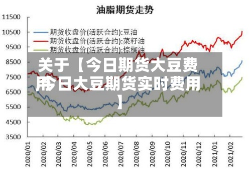 关于【今日期货大豆费用,今日大豆期货实时费用】