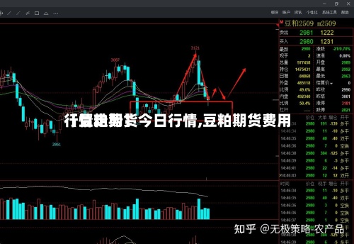 【豆粕期货今日行情,豆粕期货费用行情走势】
