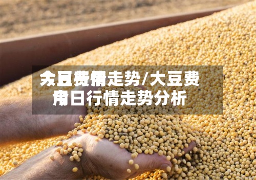 大豆费用
今日行情走势/大豆费用
今日行情走势分析-第2张图片
