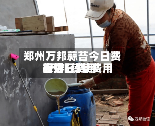 郑州万邦蒜苔今日费用/万邦蔬菜费用表今日费用行情