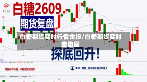 白糖期货实时行情金投/白糖期货实时费用走势图-第2张图片