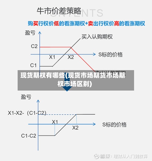 现货期权有哪些(现货市场期货市场期权市场区别)
