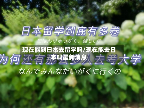 现在能到日本去留学吗/现在能去日本吗最新消息-第3张图片