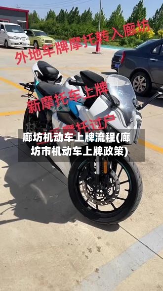 廊坊机动车上牌流程(廊坊市机动车上牌政策)-第3张图片