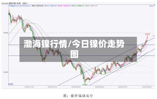 渤海镍行情/今日镍价走势图-第2张图片