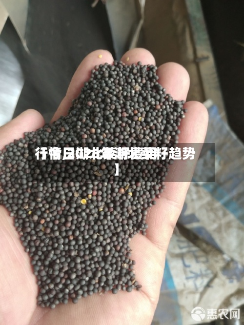 【今日湖北菜籽费用行情,2026年湖北菜籽趋势】