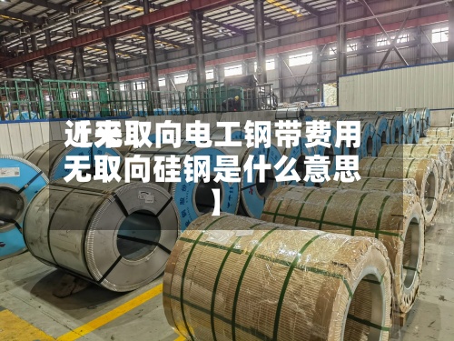 近来
【无取向电工钢带费用
无取向硅钢是什么意思】-第2张图片