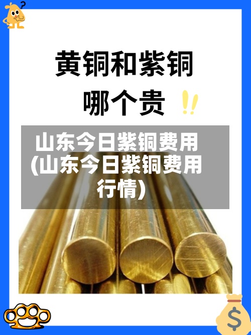 山东今日紫铜费用
(山东今日紫铜费用
行情)-第2张图片