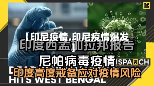 【印尼疫情,印尼疫情爆发】-第3张图片