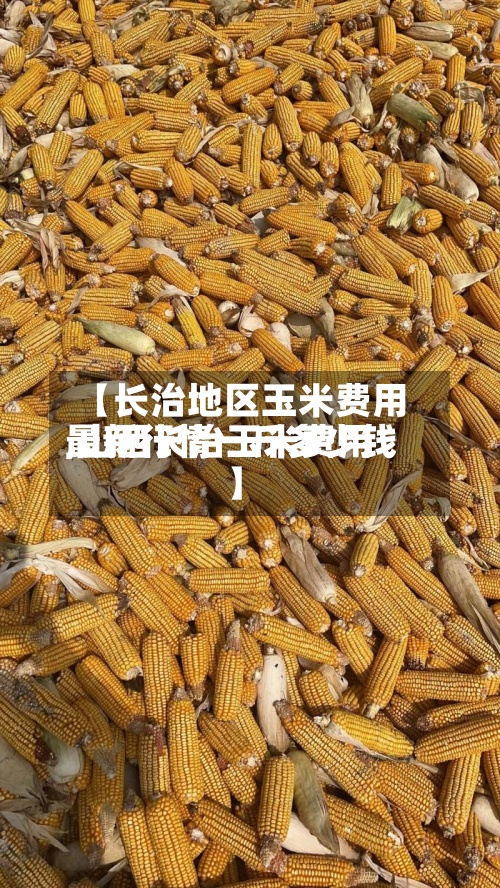 【长治地区玉米费用,山西长治玉米费用最新行情一斤多少钱】
