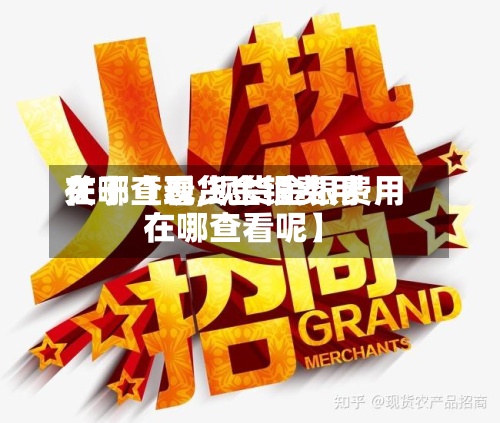 关于【现货金银费用
在哪查看,现货金银费用
在哪查看呢】-第2张图片