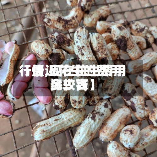 【最近花生的费用
行情,现在花生费用
比较高
多少钱】-第3张图片