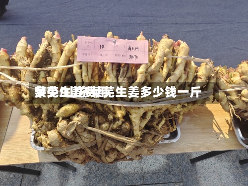 莱芜生姜费用多少/山东莱芜生姜多少钱一斤