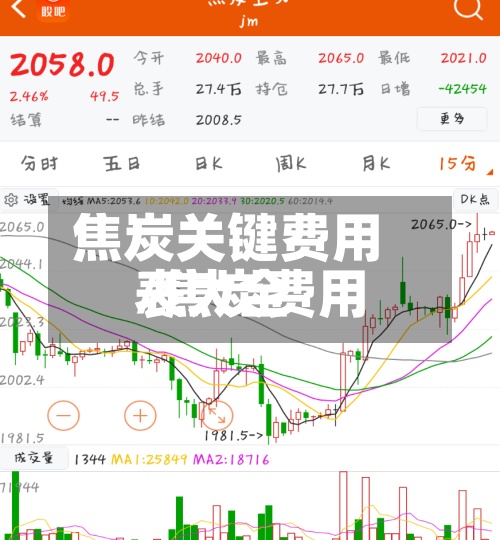 焦炭关键费用/焦炭费用表大全