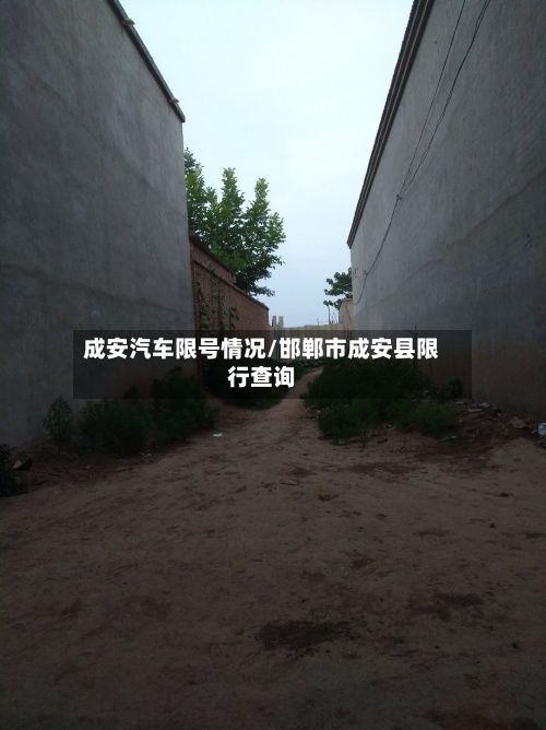 成安汽车限号情况/邯郸市成安县限行查询