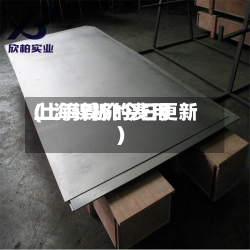 上海镍板的费用
(上海镍价今日更新)-第3张图片