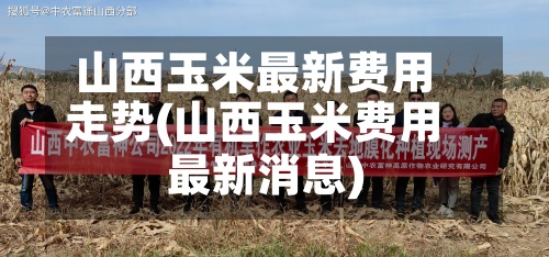 山西玉米最新费用
走势(山西玉米费用
最新消息)-第2张图片