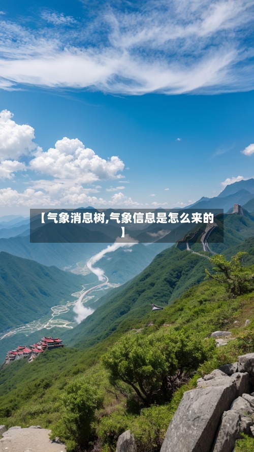 【气象消息树,气象信息是怎么来的】