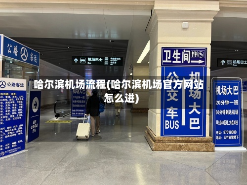 哈尔滨机场流程(哈尔滨机场官方网站怎么进)-第2张图片