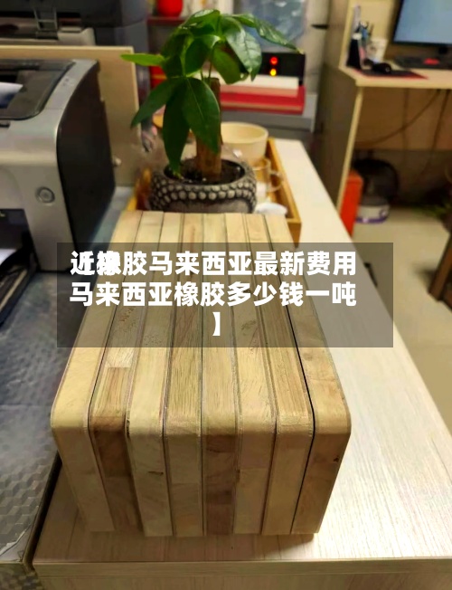 近来
【橡胶马来西亚最新费用
马来西亚橡胶多少钱一吨】-第3张图片