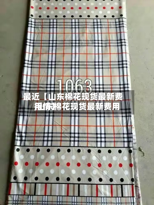 最近【山东棉花现货最新费用
,山东棉花现货最新费用
行情】-第3张图片