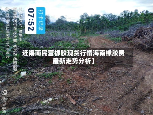 近来【海南民营橡胶现货行情海南橡胶费用最新走势分析】-第2张图片
