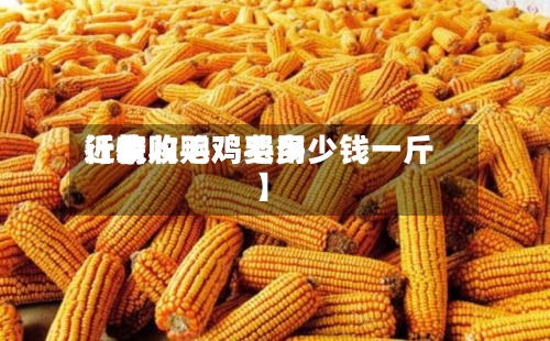 近来【收购毛鸡费用行情收购鸡毛多少钱一斤】-第2张图片