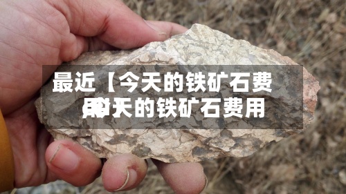 最近【今天的铁矿石费用,今天的铁矿石费用cci】-第2张图片