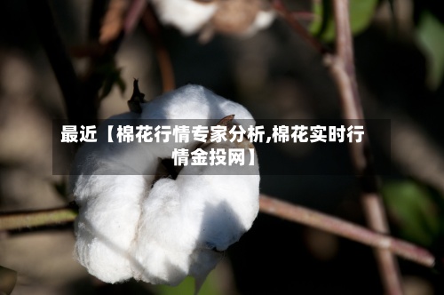 最近【棉花行情专家分析,棉花实时行情金投网】-第2张图片