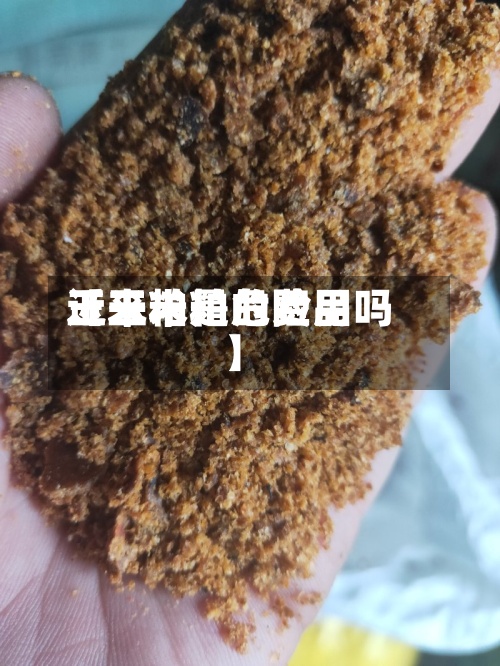近来【玉米粕的费用玉米粕是危险品吗】