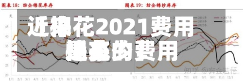 近来【棉花2021费用近来棉花的费用是多少】