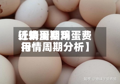 近来
【鸡蛋费用
行情周期鸡蛋费用
行情周期分析】-第2张图片