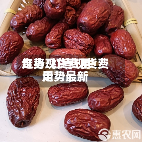 红枣现货费用走势/红枣现货费用走势最新