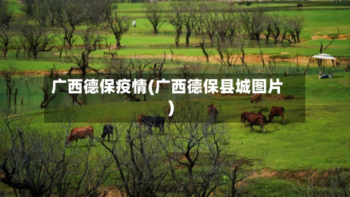 广西德保疫情(广西德保县城图片)-第3张图片