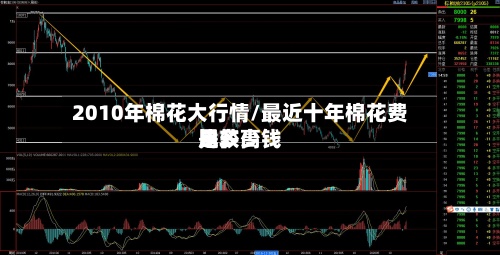2010年棉花大行情/最近十年棉花费用比较高是多少钱
