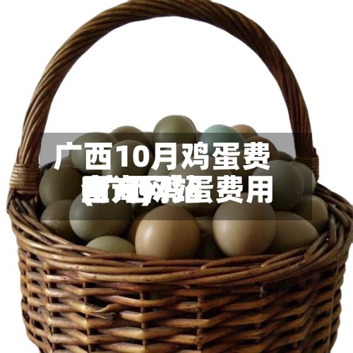广西10月鸡蛋费用(广西鸡蛋费用官方网站查询)
