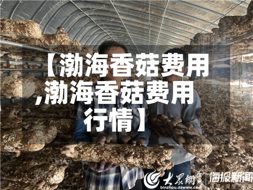 【渤海香菇费用,渤海香菇费用行情】
