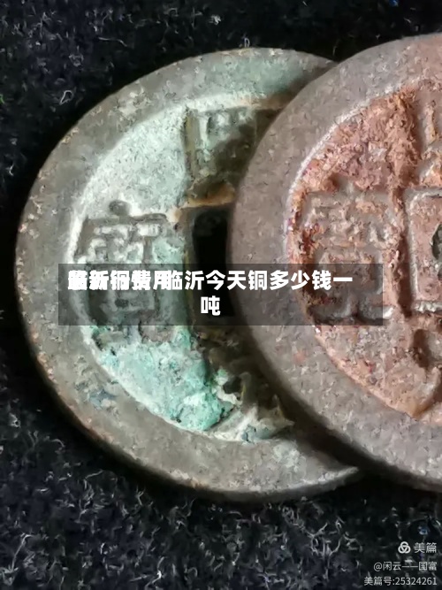临沂铜费用最新行情/临沂今天铜多少钱一吨-第3张图片