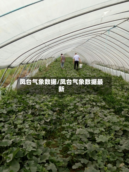 凤台气象数据/凤台气象数据最新-第2张图片